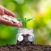 The Elegant Balance: Mastering the Art of Saving and Investment for a Secure Financial Future