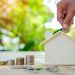 From Stability to Growth: The Elegant Balance of Saving and Investment